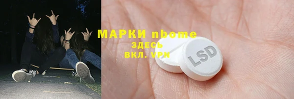 стаф Аркадак