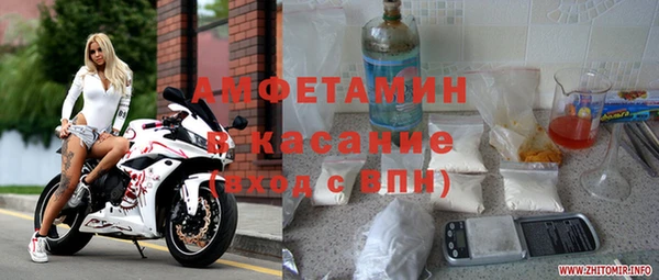 стаф Аркадак