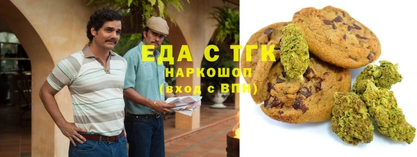 стаф Аркадак