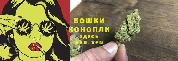 соль ск Арсеньев