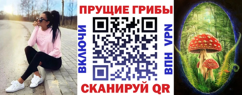 закладки  Белореченск  Псилоцибиновые грибы мухоморы 